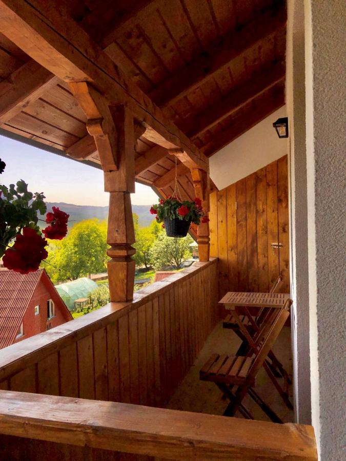 Pensiunea Roca Maramures Deseşti Εξωτερικό φωτογραφία