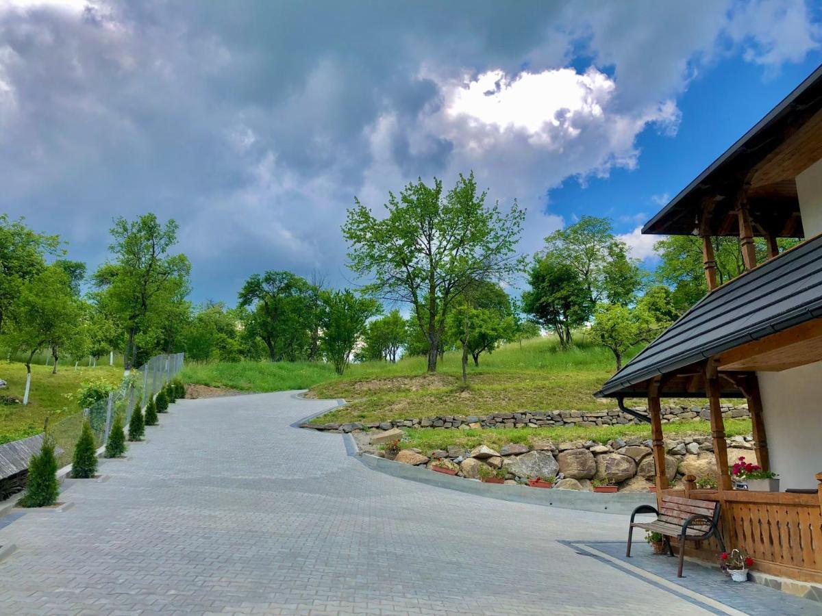 Pensiunea Roca Maramures Deseşti Εξωτερικό φωτογραφία