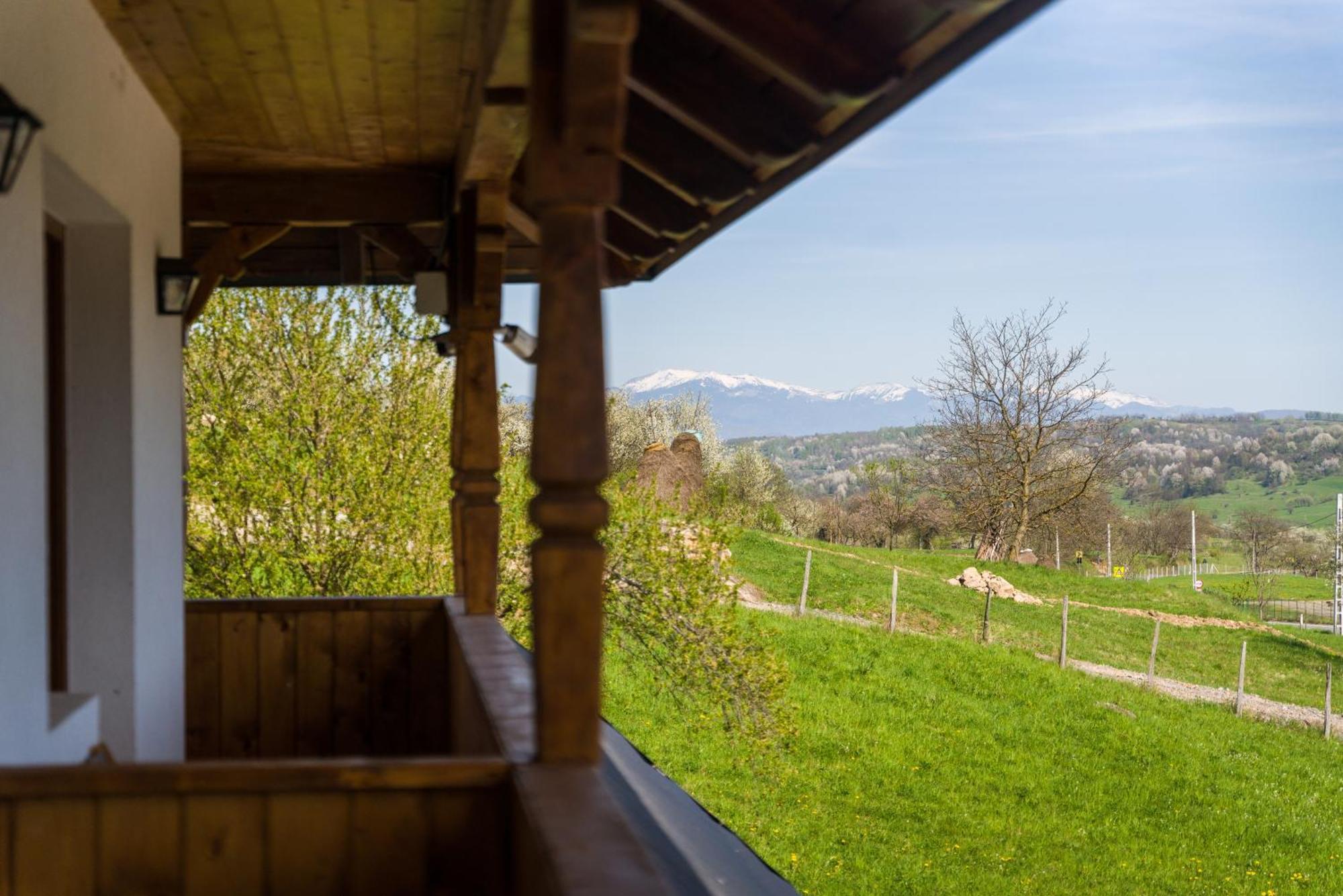 Pensiunea Roca Maramures Deseşti Εξωτερικό φωτογραφία