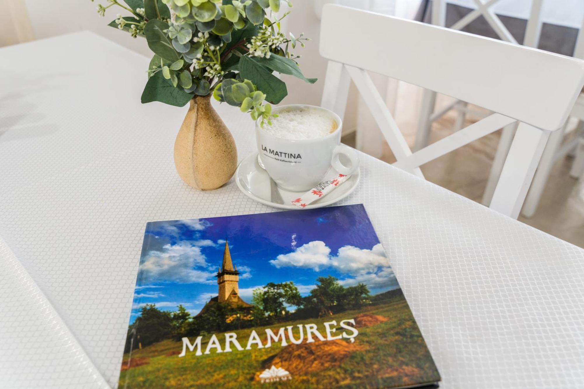 Pensiunea Roca Maramures Deseşti Εξωτερικό φωτογραφία
